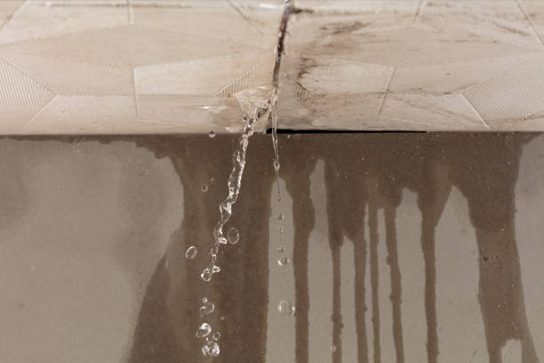 Professional Water Damage Inspection technician working in Gruetli-Laager, TN